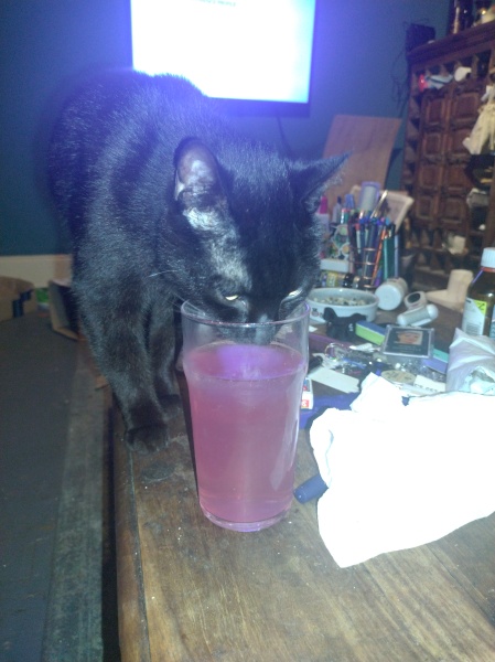 Cats used to be worshiped as Gods...