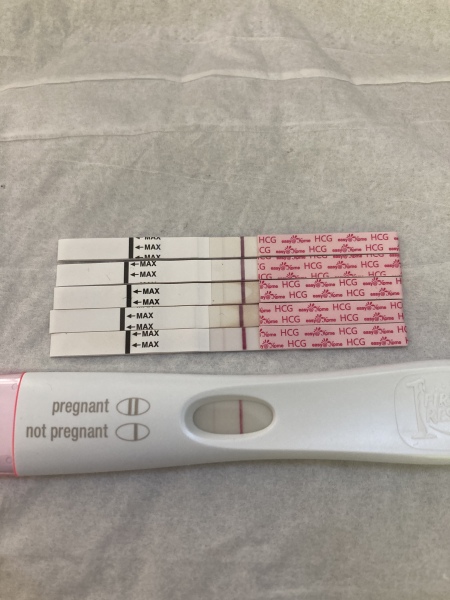 Due February 2024!