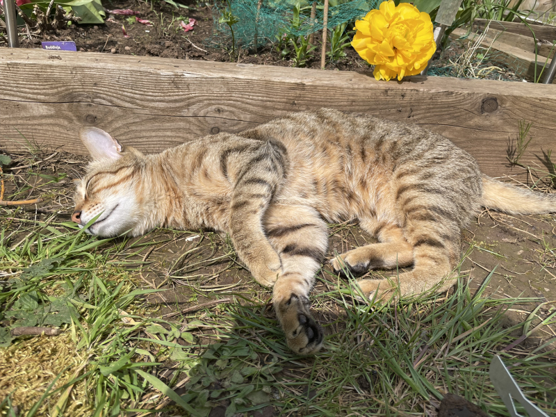 Cancer Support thread 86 - Stay Positive 