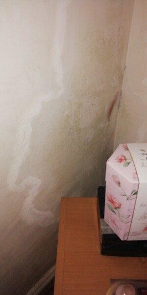 Condescension or damp? 