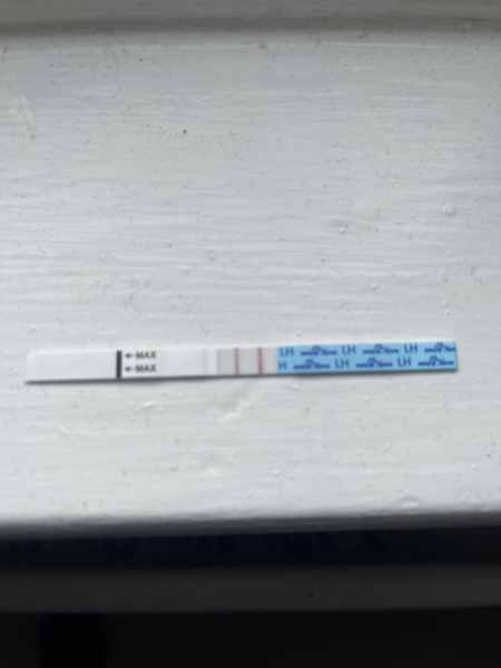 TTC 2024 Babies 🍼🤰🏻🌟🍀🤞🏻💕