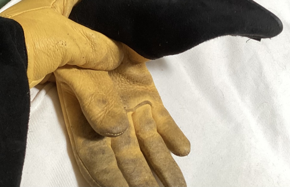 Please recommend thorn proof gloves.