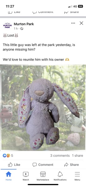 Jellycat  bunny
