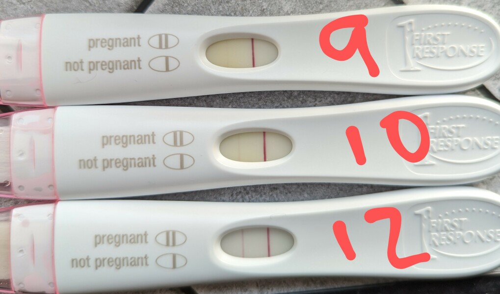 Due February 2024!