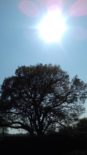 To think it’s already getting too hot… 