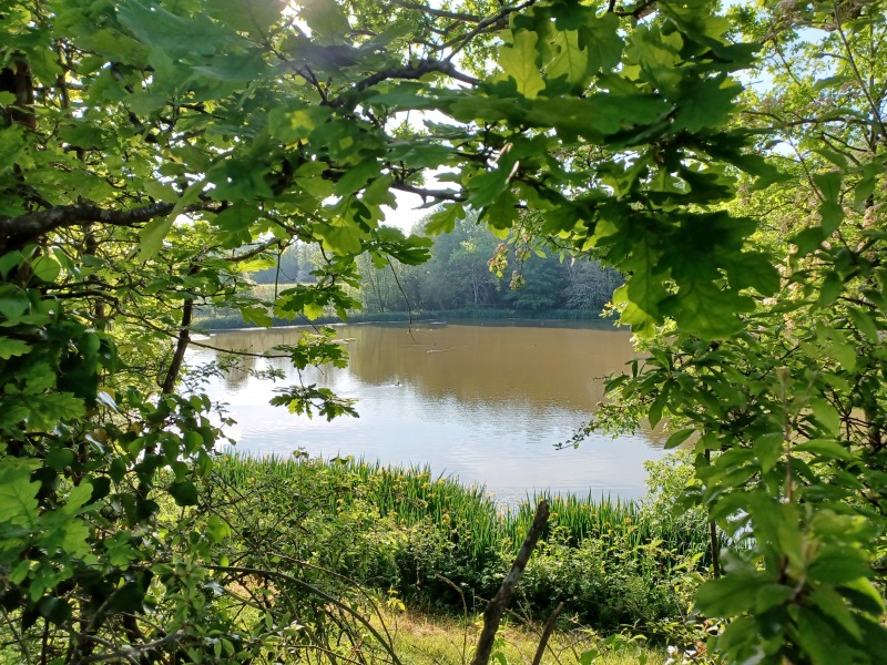 Come chat hiking with me!