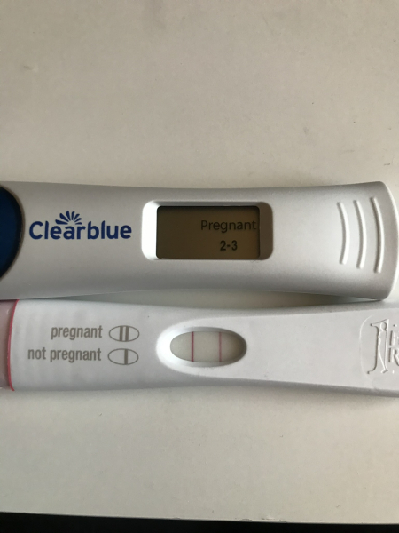 13 dpo 2-3 weeks Clearblue