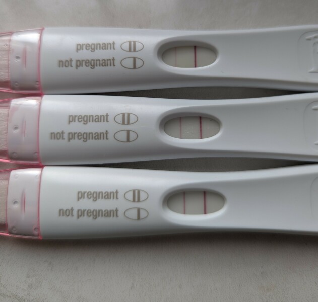 Due February 2024!