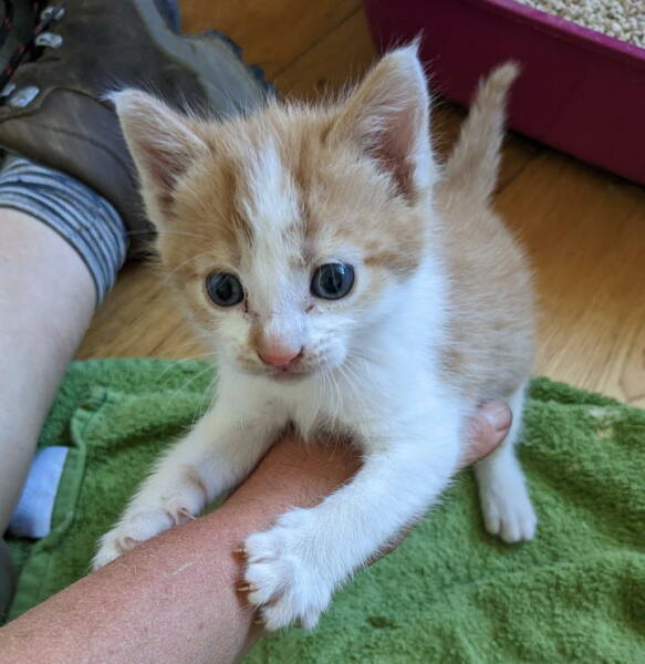 50 Books Challenge 2023 Part Five