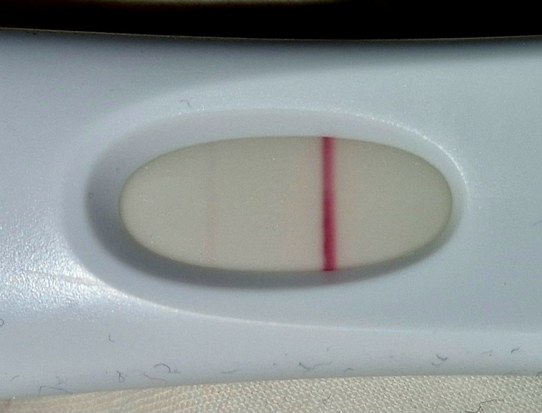 FET May 2023