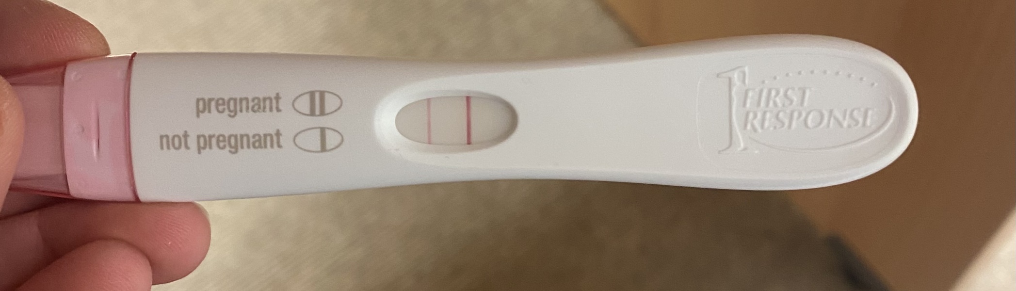 Due January 2024 🎉