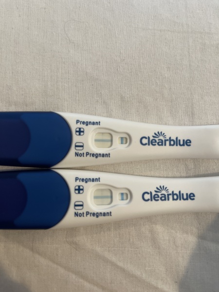IVF April 2023