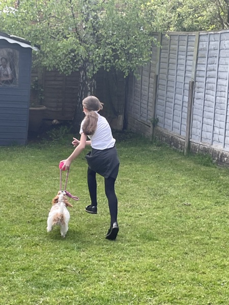 Puppy survival thread part 2