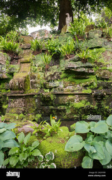 Best surface for shady garden