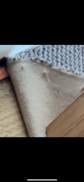 To ask for a new living room carpet in rental property. Photo attached 