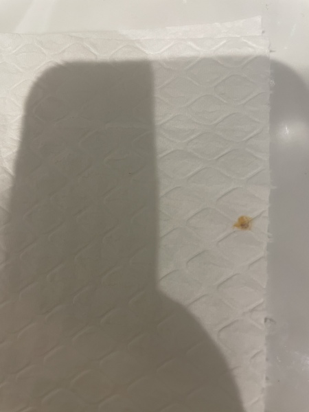 What on earth is this!!?!