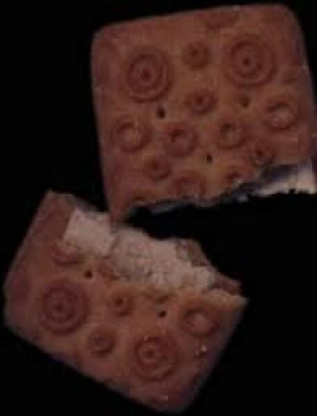 Do you remember this 80’s biscuit ?