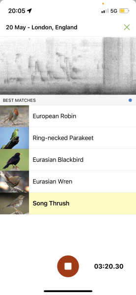 To tell you about the Merlin app - Shazam for birds?