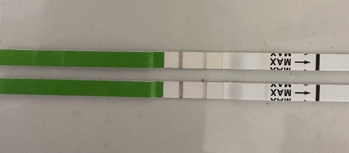 TTC May 2023 💖✨ previous MC March 2023