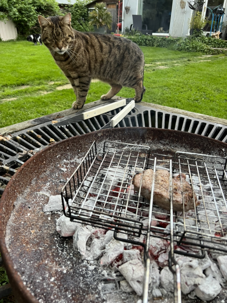 TCs favourite neighbour
