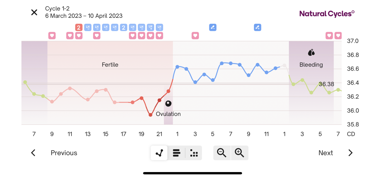 BBT Graph