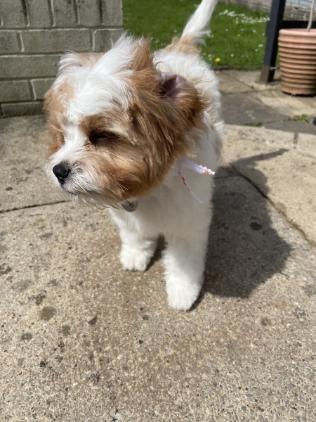 50 Books Challenge 2023 Part Five