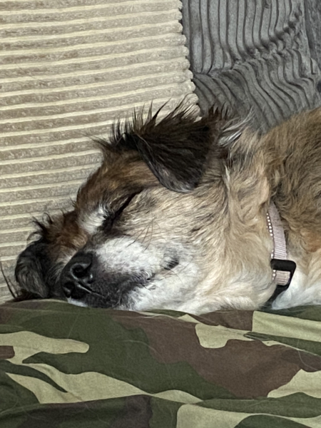 What was in your bed when you woke up this morning?