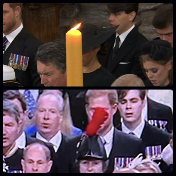 I'm feeling a bit sorry for Harry