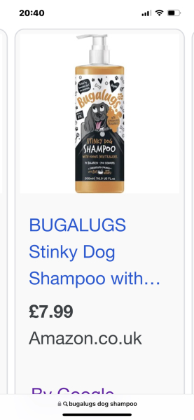 Is my house just destined to stink?