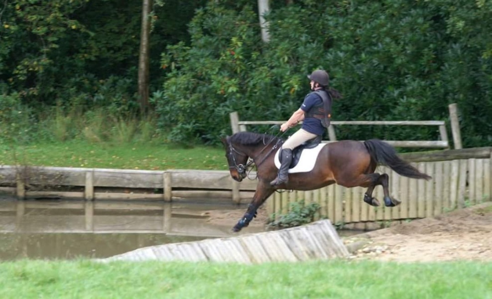 To ask for a MN hug...my pony was PTS this morning