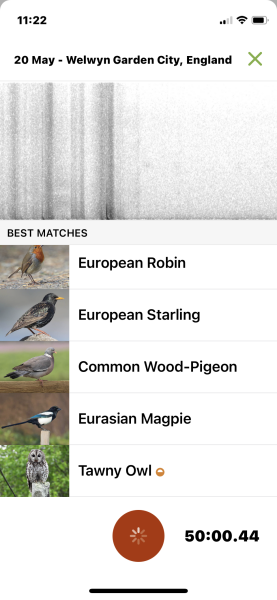 To tell you about the Merlin app - Shazam for birds?