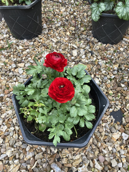 Show Us Your Pictures 6