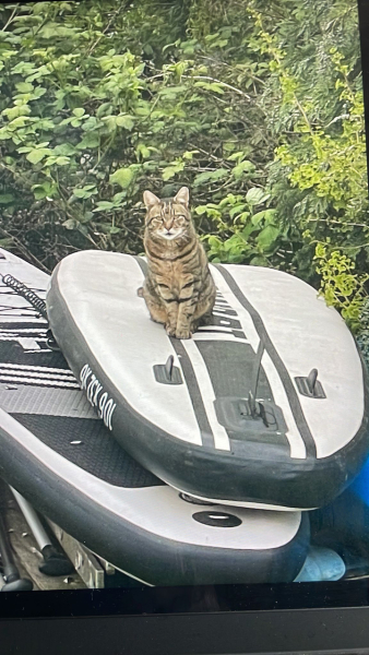 TCs favourite neighbour