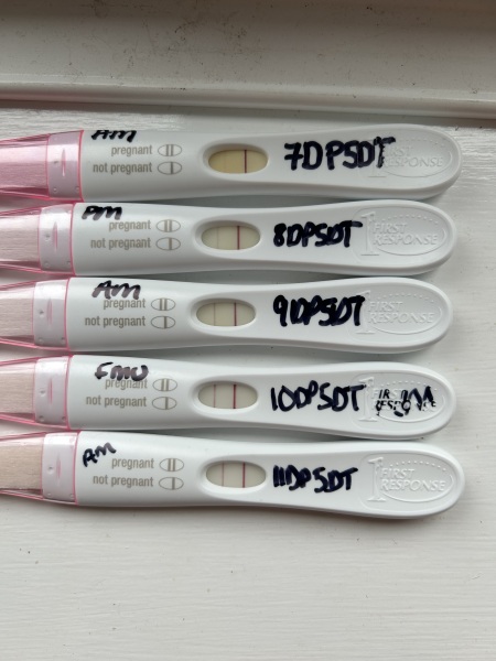 IVF April 2023