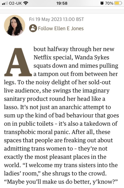 Guardian feature - Wanda Sykes