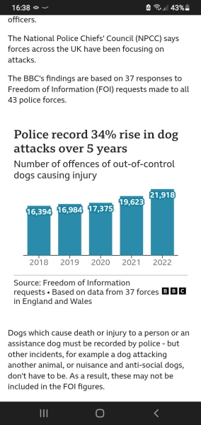 Another fatal dog attack. 