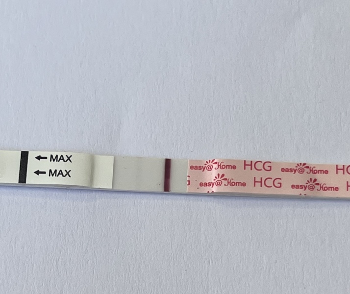 TTC May 2023 💖✨ previous MC March 2023