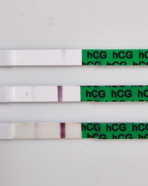 Pregnant straight after MMC? Anyone?