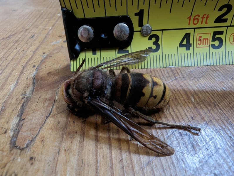 Do I need to burn the house down?