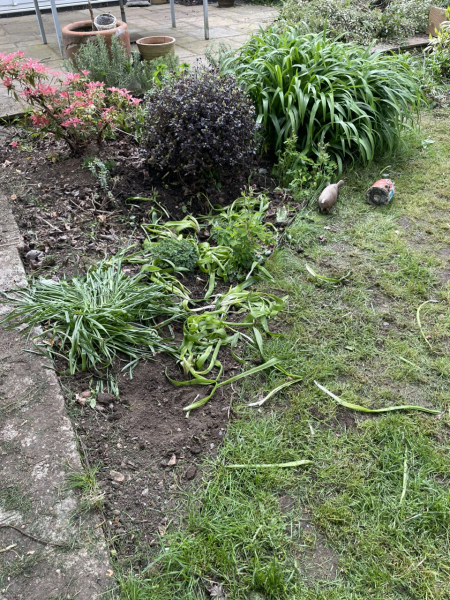 What do you do over bulbs