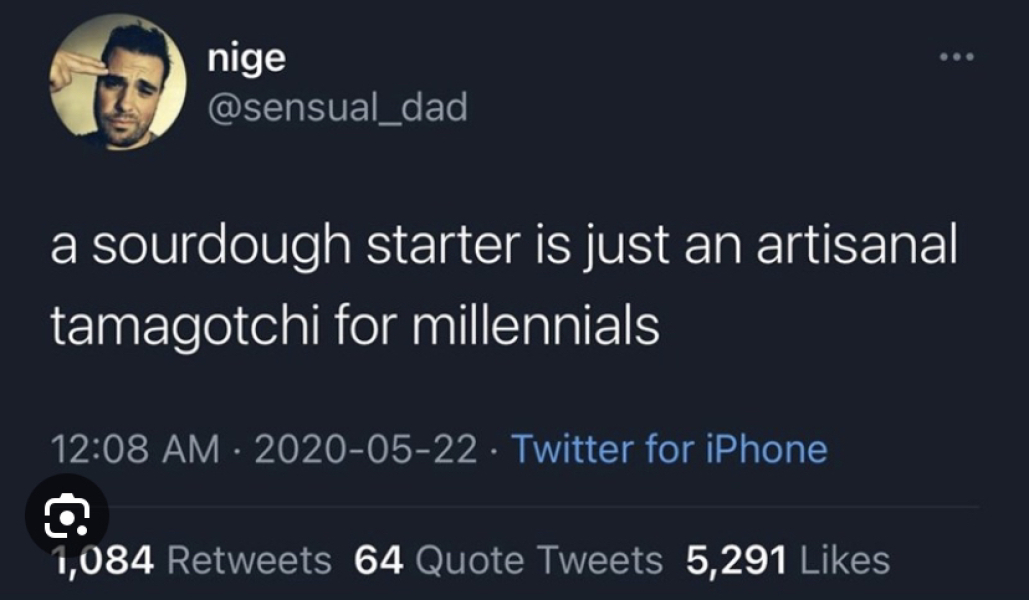 Does anyone make their own sourdough?