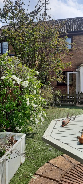 Artificial grass 