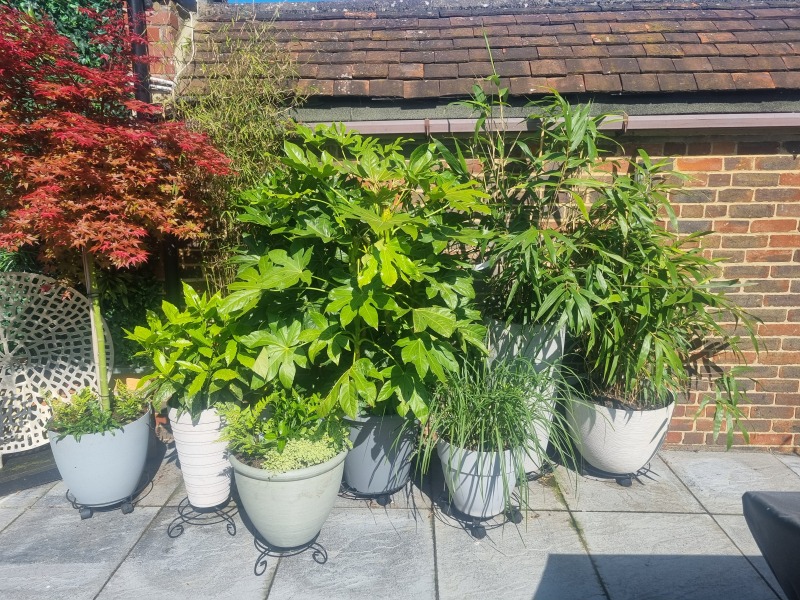 Turning side passage into garden/seating area? 