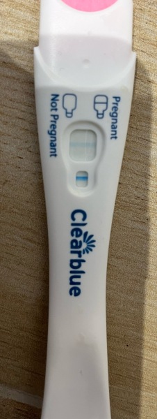IVF April 2023
