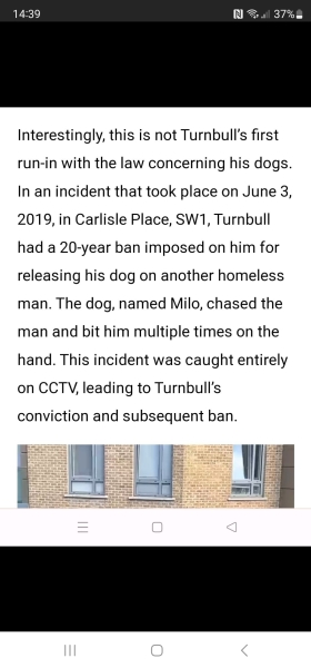 Two dogs shot in London by police