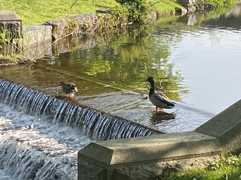 Come and tell me your dull and unexciting news 25: Calmly through the day 