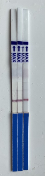 Freedom tests