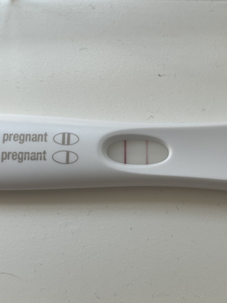 Due January 2024 🎉 PART 2