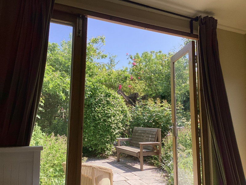 What have you done in the garden today?