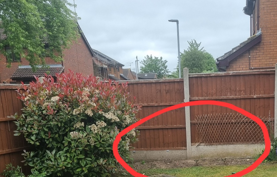 ADVICE on this rocky patch (photo included)